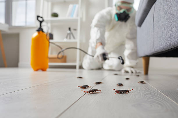 Trusted Cockroach Control service in Bethany, OR - Nex Pest Control
