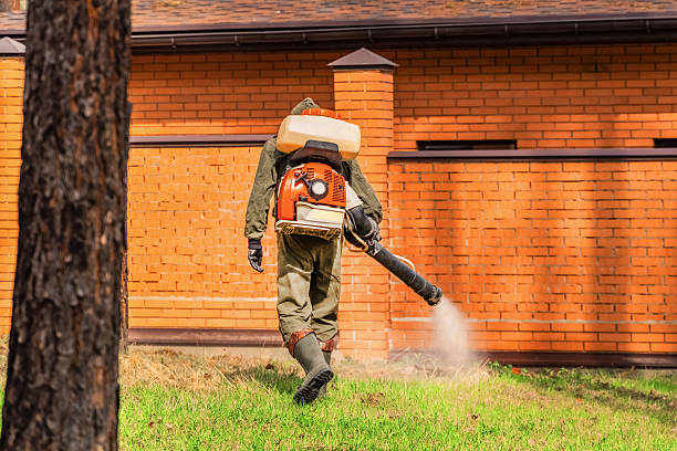 Trusted Termite Control service in Bethany, OR - Nex Pest Control
